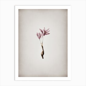 Vintage Autumn Crocus Botanical on Parchment n.0399 Art Print