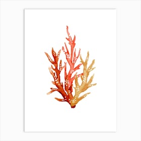 Coral Reef Watercolor Painting 1 Art Print