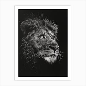 Barbary Lion Charcoal Drawing Night Hunt 2 Art Print