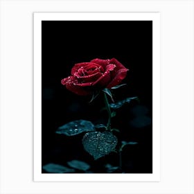 Dark Rose 59 Art Print