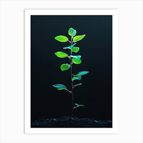 Small Green Plant 2 Art Print