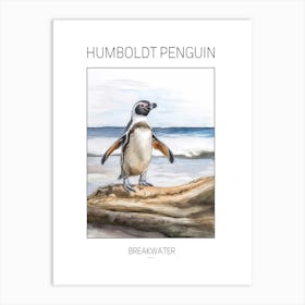 Humboldt Penguin Breakwater Watercolour Painting 3 Poster Art Print