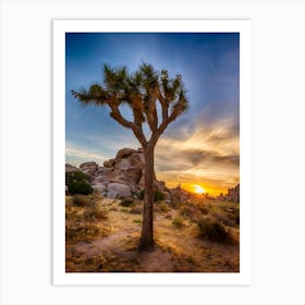 Charming Sunset At Joshua Tree National Park Art Print