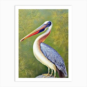 Pelican Haeckel Style Vintage Illustration Bird Art Print