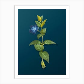 Vintage Greater Periwinkle Flower Botanical Art on Teal Blue n.0691 Art Print