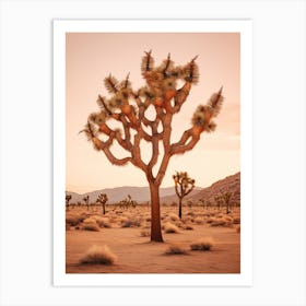  Photograph Of A Joshua Trees At Dusk In Desert 4 Art Print