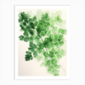 Green Ink Painting Of A Maidenhair Fern 2 Art Print