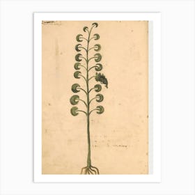 Fern Plant Art Print