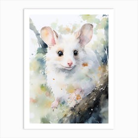 Light Watercolor Painting Of A Urban Possum 3 Art Print