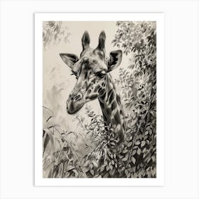 Pencil Portrait Of Giraffe In The Leaves 4 Art Print