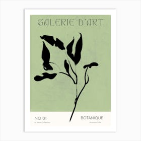 Bohemian Botanique 1 Art Print