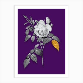 Vintage Fragrant Rosebush Black and White Gold Leaf Floral Art on Deep Violet n.1008 Art Print