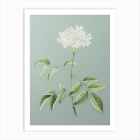 Vintage Elderflower Tree Botanical Art on Mint Green n.0568 Art Print