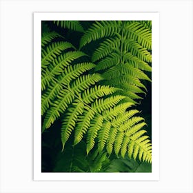 Pattern Poster Australian Tree Fern 4 Art Print