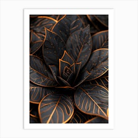 Black Leaves Art Print