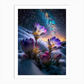 Snow Flowers at night Art Print