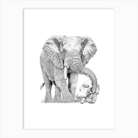 Elephant Artwork - Wildlife Art Print Art Print