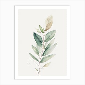 Sage Leaf Minimalist Watercolour Art Print