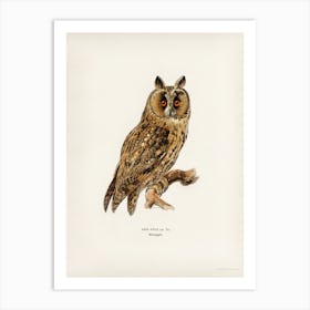 Asio Otus Owl, The Von Wright Brothers Art Print