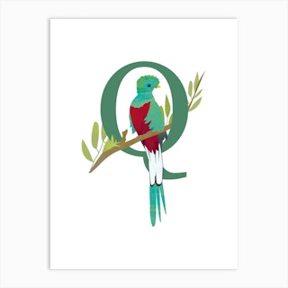 Q For Quetzal Art Print