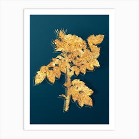 Vintage Kamtschatka Rose Botanical in Gold on Teal Blue n.0066 Art Print