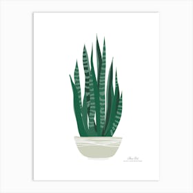 Aloe vera plant. Green plant. Beautiful plant. Thorns plant. Aloe vera flowers.1 Art Print