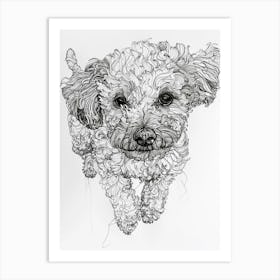 Bichon Frise Dog Line Drawing Sketch 1 Art Print