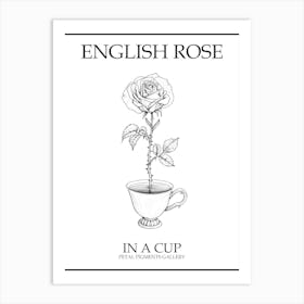 English Rose In A Cup Line Drawing 4 Poster Art Print