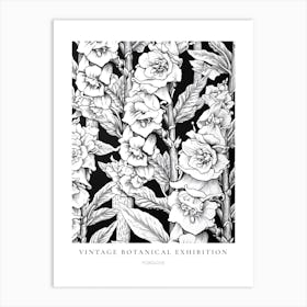 Foxglove B&W Vintage Botanical Poster Art Print