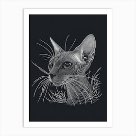 Devon Rex Cat Minimalist Illustration 1 Art Print