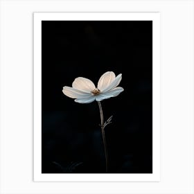 White Flower In The Dark 6 Art Print