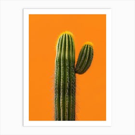 Cactus On Orange Background Art Print