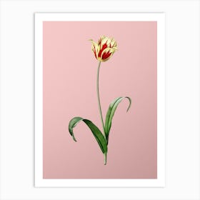 Vintage Didier's Tulip Botanical on Soft Pink n.0634 Art Print