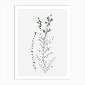 Eyebright Herb William Morris Inspired Line Drawing 2 Art Print