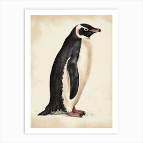 Adlie Penguin Floreana Island Vintage Botanical Painting 1 Art Print