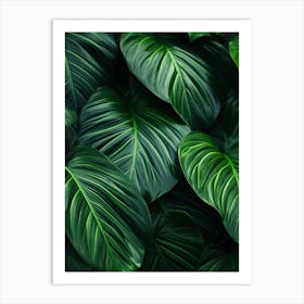 Tropical Leaves Background 4 Art Print