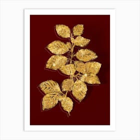 Vintage European Beech Botanical in Gold on Red n.0404 Art Print