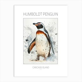 Humboldt Penguin Carcass Island Watercolour Painting 2 Poster Art Print