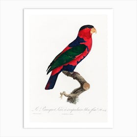 The Black Capped Lory (Lorius Lory) From Natural History Of Parrots, Francois Levaillant Art Print