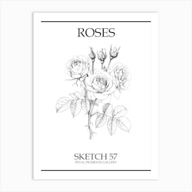 Roses Sketch 57 Poster Art Print