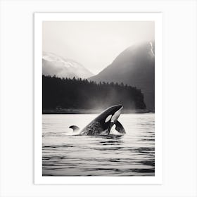 Black & White Icy Mountain Photography Style Of Orca Whale 2 Art Print