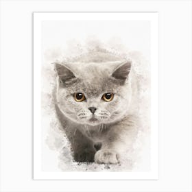 British Shorthair Kitten Art Print