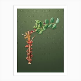 Vintage Carob Flower Botanical on Lunar Green Pattern n.0402 Art Print