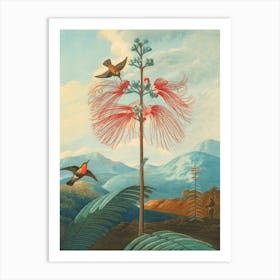 Hummingbirds And Flowers Art Print
