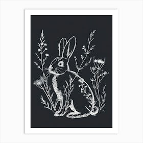 Dutch Rabbit Minimalist Illustration 1 Art Print