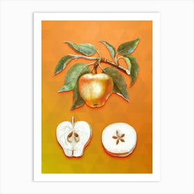 Vintage Carla Apple Botanical Art on Tangelo n.0123 Art Print