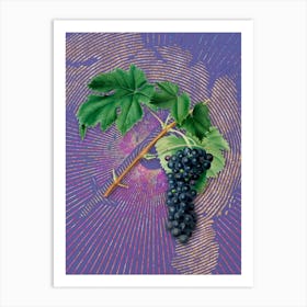 Vintage Black Aleatico Grape Botanical Illustration on Veri Peri n.0793 Art Print