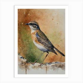 Stresemann Rare Bird Art Print