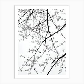 Black And White Tree Branches Art Print