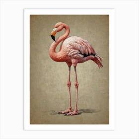 Flamingo 37 Art Print